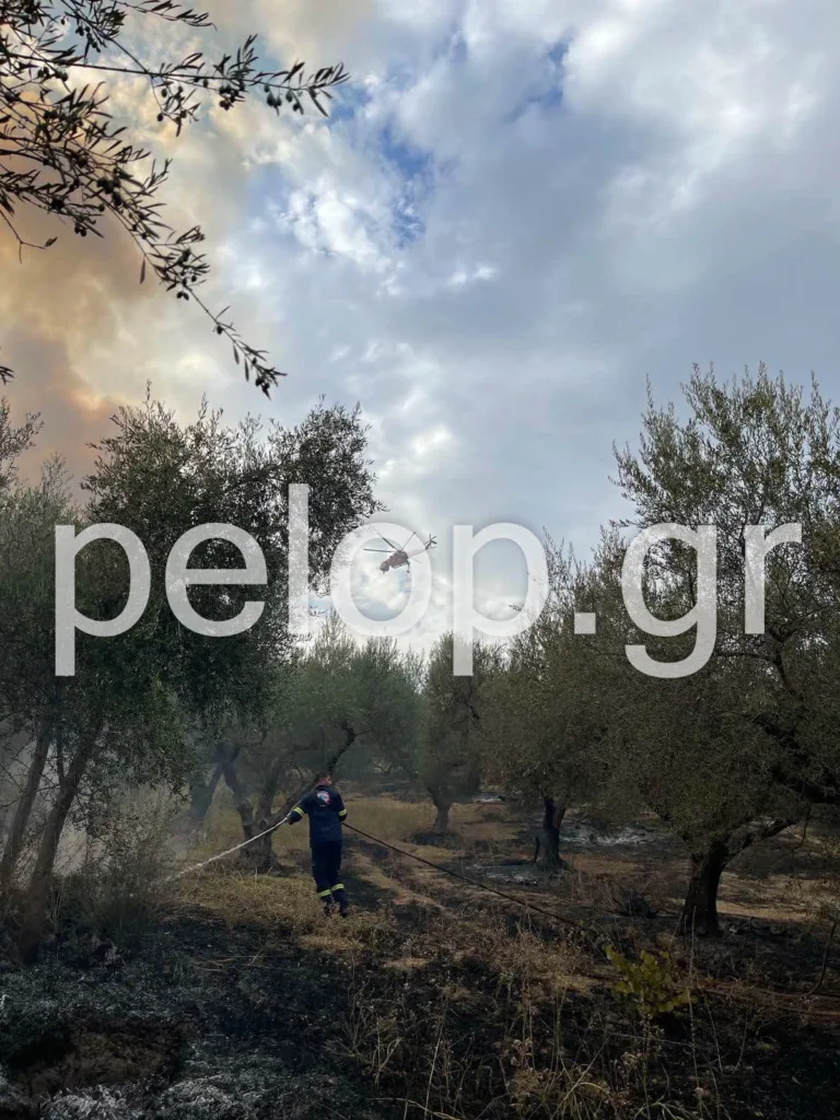 ΝΕΟΤΕΡΗ ΕΝΗΜΕΡΩΣΗ: Ενίσχυση των δυνάμεων για την πυρκαγιά στην Αιγιάλεια, 120 πυροσβέστες! ΦΩΤΟ, ΒΙΝΤΕΟ