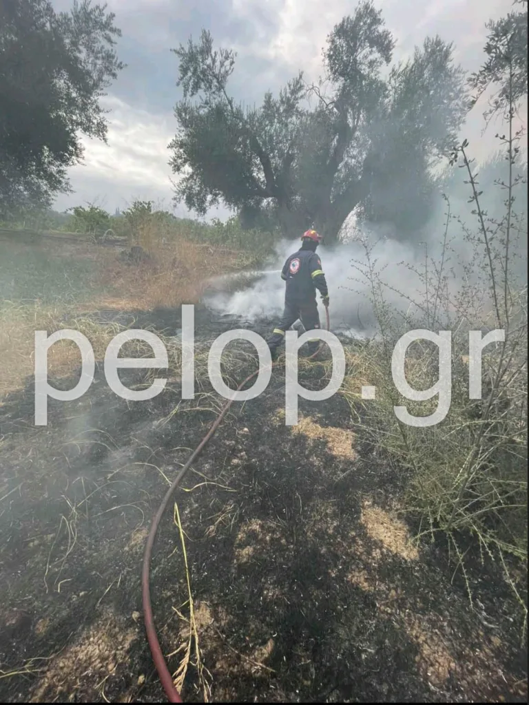 ΝΕΟΤΕΡΗ ΕΝΗΜΕΡΩΣΗ: Ενίσχυση των δυνάμεων για την πυρκαγιά στην Αιγιάλεια, 120 πυροσβέστες! ΦΩΤΟ, ΒΙΝΤΕΟ