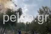 ΝΕΟΤΕΡΗ ΕΝΗΜΕΡΩΣΗ: Ενίσχυση των δυνάμεων για την πυρκαγιά στην Αιγιάλεια, 120 πυροσβέστες! ΦΩΤΟ, ΒΙΝΤΕΟ