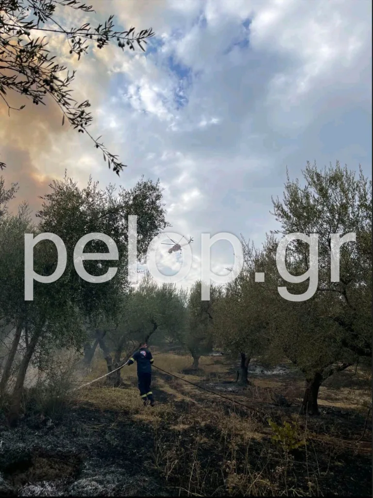 ΝΕΟΤΕΡΗ ΕΝΗΜΕΡΩΣΗ: Ενίσχυση των δυνάμεων για την πυρκαγιά στην Αιγιάλεια, 120 πυροσβέστες! ΦΩΤΟ, ΒΙΝΤΕΟ