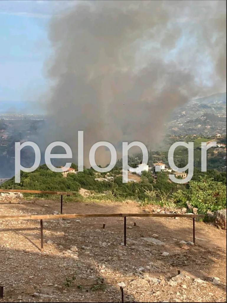 ΝΕΟΤΕΡΗ ΕΝΗΜΕΡΩΣΗ: Ενίσχυση των δυνάμεων για την πυρκαγιά στην Αιγιάλεια, 120 πυροσβέστες! ΦΩΤΟ, ΒΙΝΤΕΟ