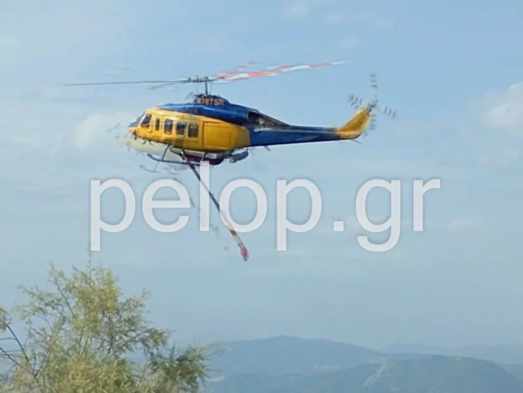 ΝΕΟΤΕΡΗ ΕΝΗΜΕΡΩΣΗ: Ενίσχυση των δυνάμεων για την πυρκαγιά στην Αιγιάλεια, 120 πυροσβέστες! ΦΩΤΟ, ΒΙΝΤΕΟ