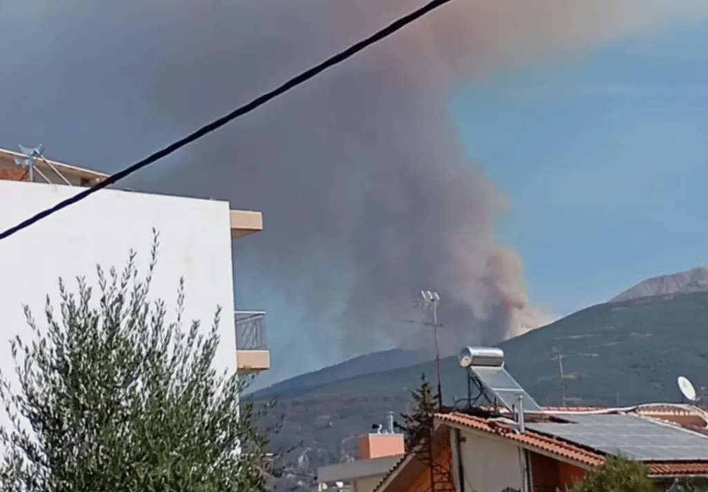 Πάτρα - Φωτιά στο Παναχαϊκό: Επιχειρούν 65 πυροσβέστες και 8 εναέρια - «Βρέχει» στάχτες στο κέντρο ΦΩΤΟ