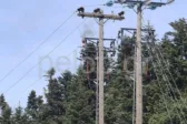 Συναγερμός στο Χιονοδρομικό Καλαβρύτων για φωτιά σε κολώνα ΒΙΝΤΕΟ