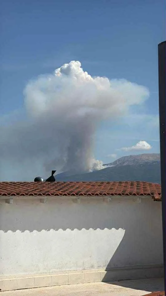 Πάτρα - Φωτιά στο Παναχαϊκό: Επιχειρούν 65 πυροσβέστες και 8 εναέρια - «Βρέχει» στάχτες στο κέντρο ΦΩΤΟ