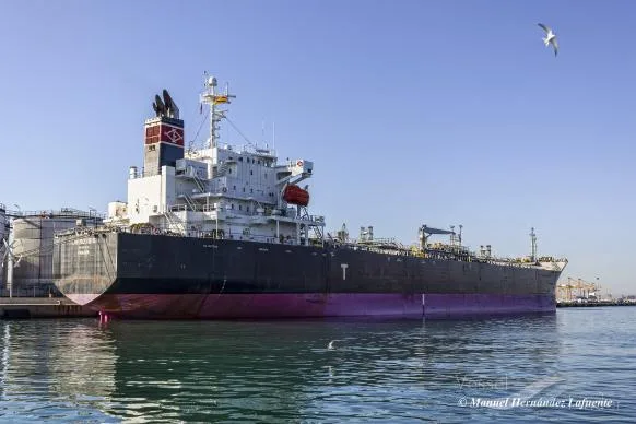 Avin International Ltd: Στρατηγική Επιστροφή στην Επέκταση Στόλου