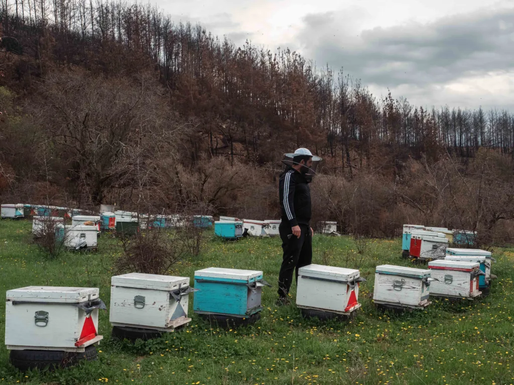 KinoFest: Beyond Destruction στην Achaia Clauss – Όταν η τέχνη κοιτά «πέρα από την καταστροφή»
