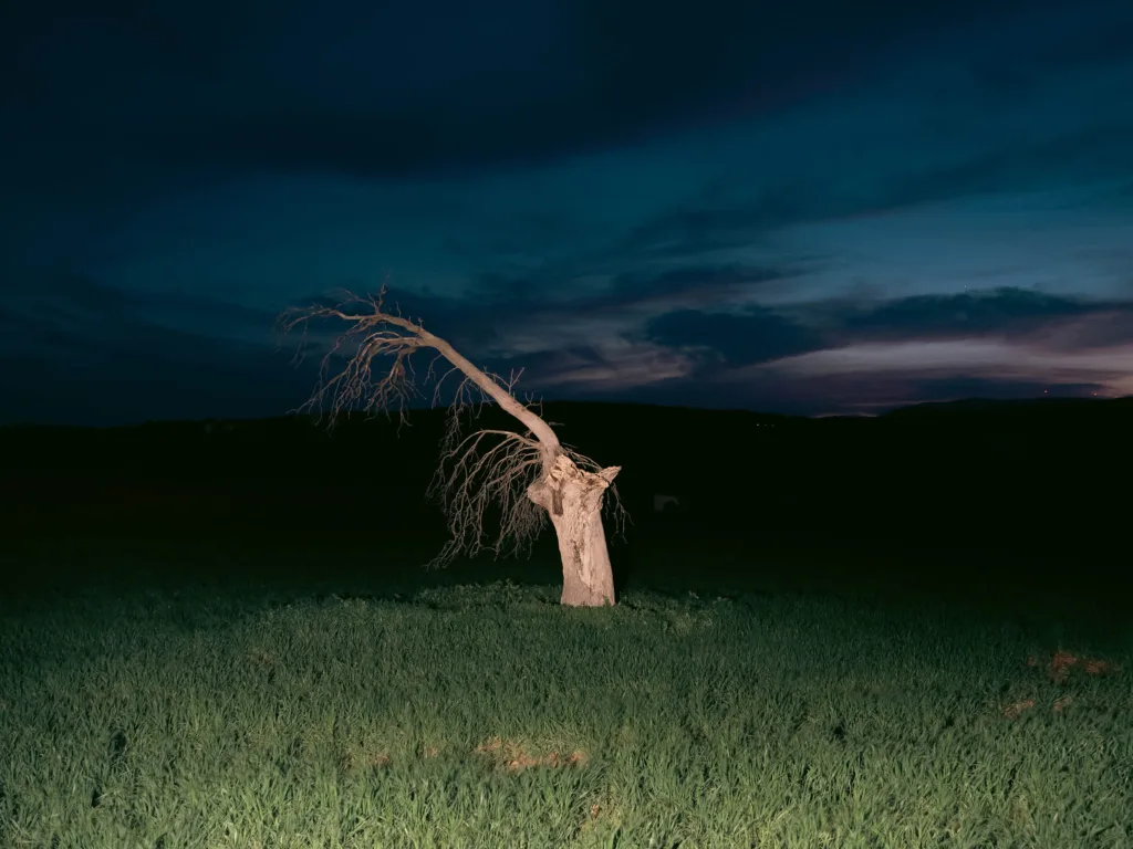 KinoFest: Beyond Destruction στην Achaia Clauss – Όταν η τέχνη κοιτά «πέρα από την καταστροφή»