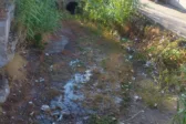Ζητείται καθαρισμός και στον Διακονιάρη