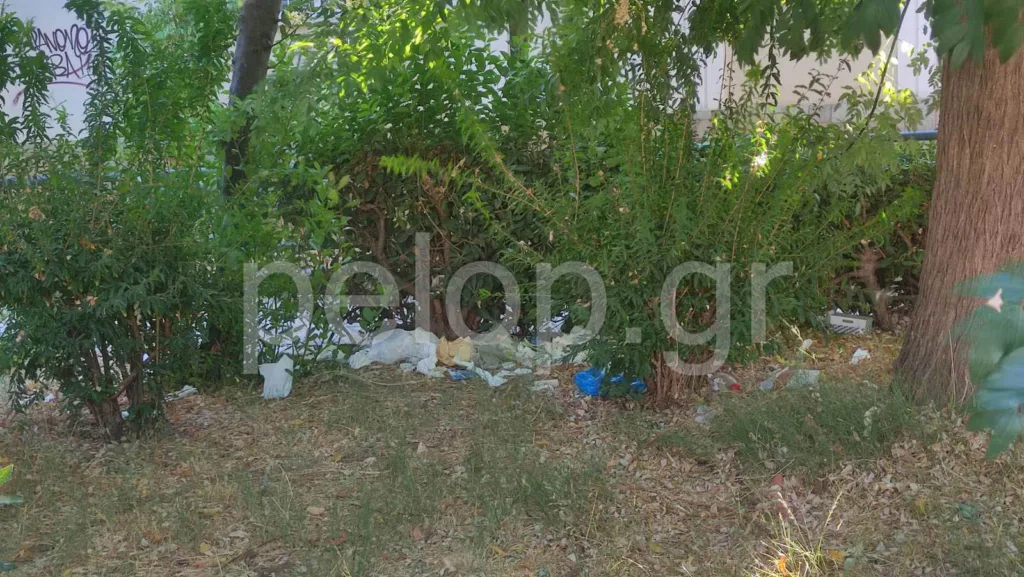 Πάτρα: Χαβούζα αντί για παιδική χαρά πίσω από τα ΚΑΠΗ των Προσφυγικών ΦΩΤΟ
