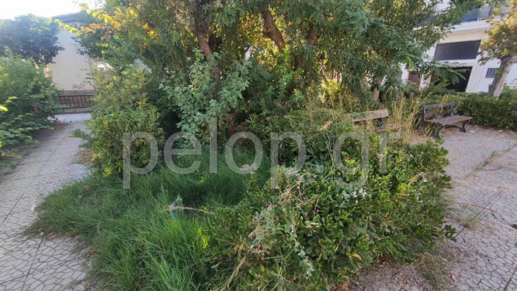 Πάτρα: Χαβούζα αντί για παιδική χαρά πίσω από τα ΚΑΠΗ των Προσφυγικών ΦΩΤΟ