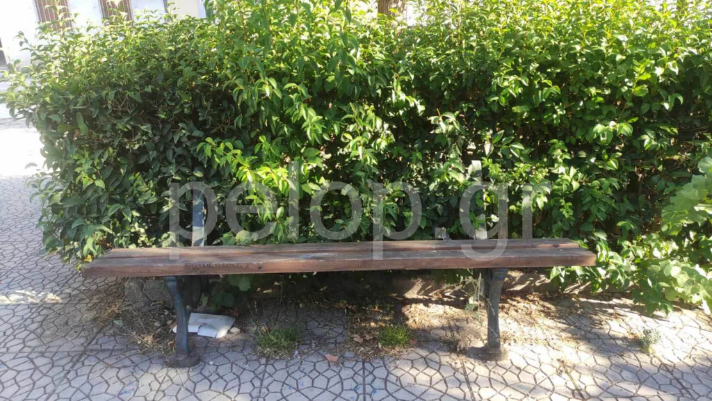 Πάτρα: Χαβούζα αντί για παιδική χαρά πίσω από τα ΚΑΠΗ των Προσφυγικών ΦΩΤΟ