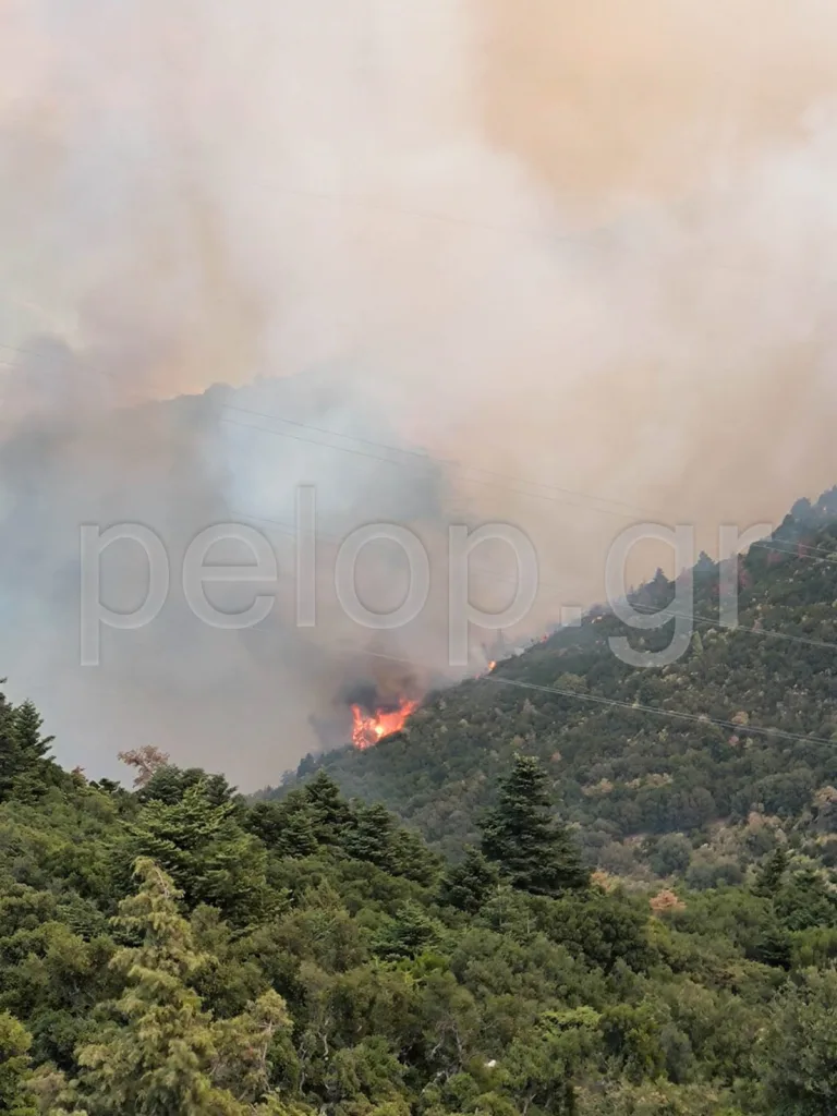 Πάτρα - Φωτιά στο Παναχαϊκό: Επιχειρούν 65 πυροσβέστες και 8 εναέρια - «Βρέχει» στάχτες στο κέντρο ΦΩΤΟ