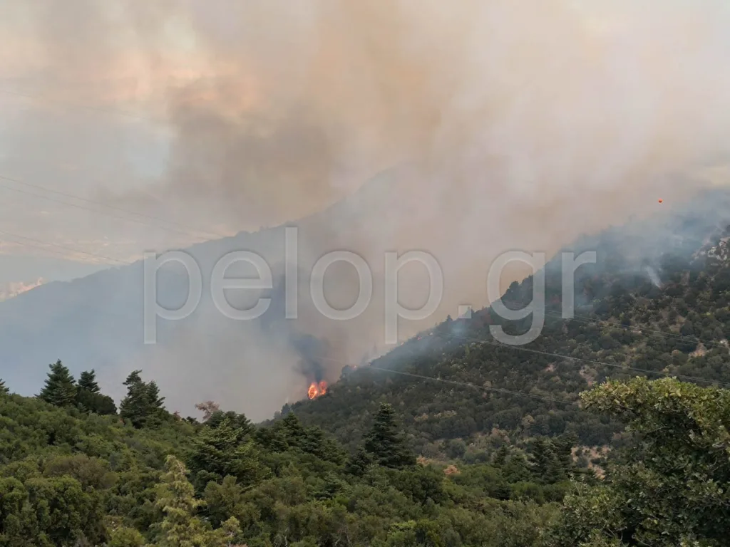 Πάτρα - Φωτιά στο Παναχαϊκό: Επιχειρούν 65 πυροσβέστες και 8 εναέρια - «Βρέχει» στάχτες στο κέντρο ΦΩΤΟ