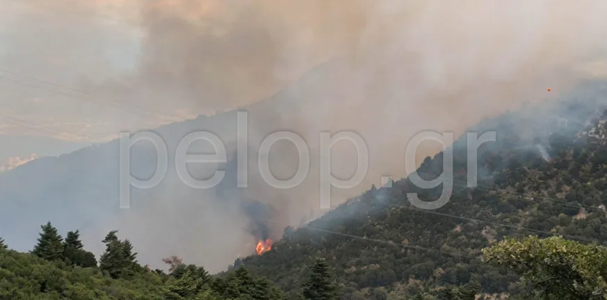 Πάτρα - Φωτιά στο Παναχαϊκό: Σε δύσβατα σημεία οι φλόγες στο Ανω Καστρίτσι - Επιχειρούν 65 πυροσβέστες και 5 εναέρια ΒΙΝΤΕΟ ΦΩΤΟ Πάτρα - Φωτιά στο Παναχαϊκό: Σε δύσβατα σημεία οι φλόγες στο Ανω Καστρίτσι - Επιχειρούν 65 πυροσβέστες και 5 εναέρια ΒΙΝΤΕΟ ΦΩΤΟ