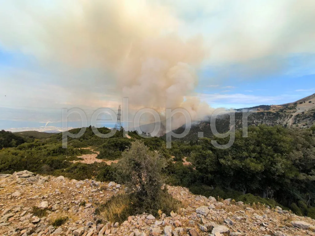 Πάτρα - Φωτιά στο Παναχαϊκό: Επιχειρούν 65 πυροσβέστες και 8 εναέρια - «Βρέχει» στάχτες στο κέντρο ΦΩΤΟ