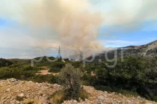 Πάτρα – Φωτιά στο Παναχαϊκό: Στο σημείο οι πυροσβεστικές δυνάμεις – Επιχειρούν 40 πυροσβέστες και 4 εναέρια ΦΩΤΟ