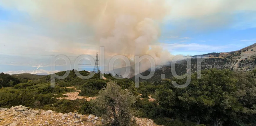 Πάτρα - Φωτιά στο Παναχαϊκό: Στο σημείο οι πυροσβεστικές δυνάμεις - Επιχειρούν 65 πυροσβέστες και 8 εναέρια ΦΩΤΟ