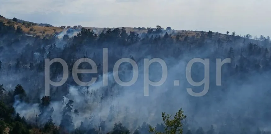 Πάτρα - Φωτιά στο Παναχαϊκό: Βελτιωμένη η εικόνα της πυρκαγιάς στο Άνω Καστρίτσι – Συνεχίζονται οι επιχειρήσεις ΒΙΝΤΕΟ ΦΩΤΟ