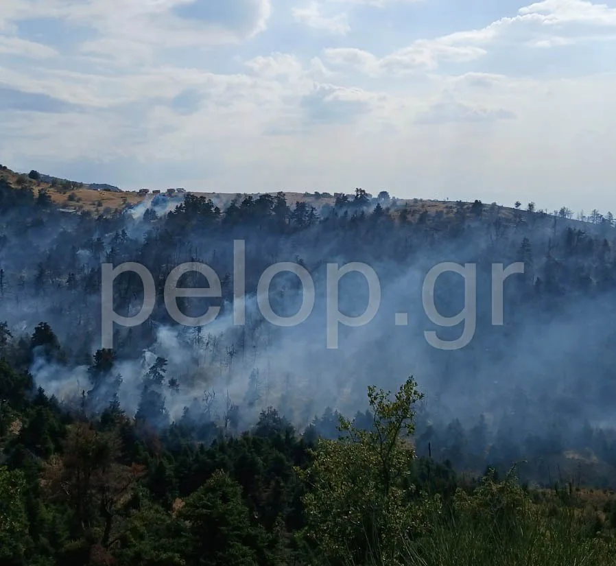 Πάτρα - Φωτιά στο Παναχαϊκό: Βελτιωμένη η εικόνα της πυρκαγιάς στο Άνω Καστρίτσι – Συνεχίζονται οι επιχειρήσεις ΒΙΝΤΕΟ ΦΩΤΟ
