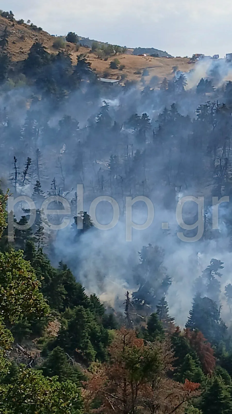 Φωτιά στο Παναχαϊκό: Συνεχίζονται και το βράδυ οι προσπάθειες κατάσβεσης, περισσότεροι από 120 πυροσβέστες επιχειρούν με 30 οχήματα