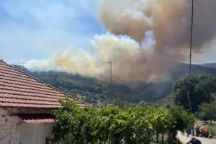 Συναγερμός στον Δήμο Αγιάς: Φωτιά σε δασική περιοχή μεταξύ Στομίου και Καρίτσας