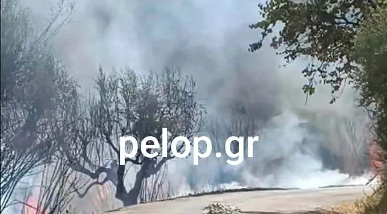 ΝΕΟΤΕΡΑ Αιγιάλεια: Ανεξέλεγκτη η πυρκαγιά στην περιοχή Άλσος, εκκένωση για Μερτίδι-Λάκκα, Τούμπα, επιχειρούν εναέρια- Ήχησε το 112 ΦΩΤΟ ΒΙΝΤΕΟ