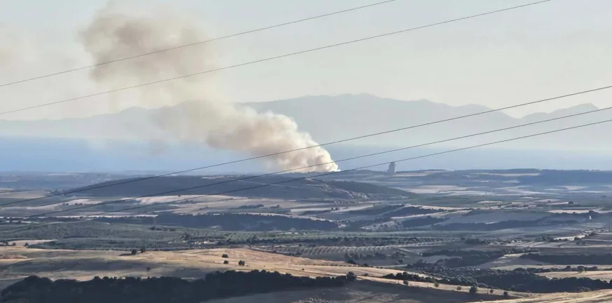 Φωτιά (και) στη Νέα Τρίγλια Χαλκιδικής Φωτιά (και) στη Νέα Τρίγλια Χαλκιδικής