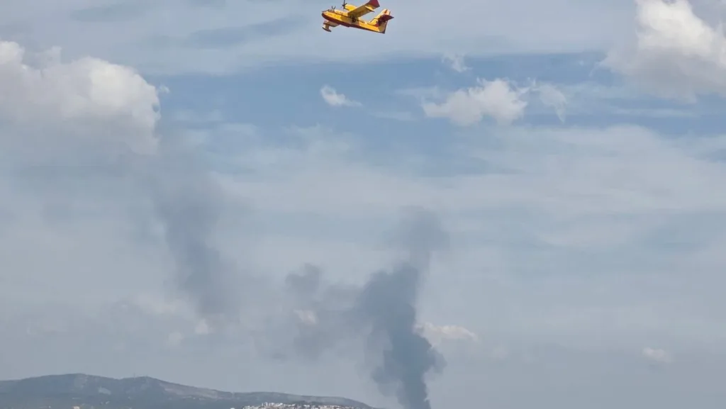 Πυλαία Θεσσαλονίκης: Σε ύφεση η φωτιά ΦΩΤΟ