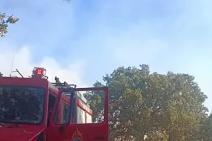 Δήμος Μεσολογγίου: Μεγάλη φωτιά πολύ κοντά στον αρχαιολογικό χώρο των Οινιάδων, ΦΩΤΟ, ΒΙΝΤΕΟ