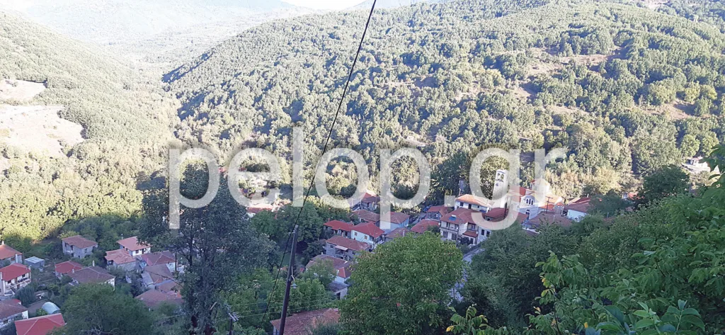 Χωριά παλεύουν χωρίς στήριγμα: Γάμος μετά από 10 χρόνια στη Φουρνά - Συγκινητική πρωτοβουλία της «Παναθηναϊκής» Πάτρας