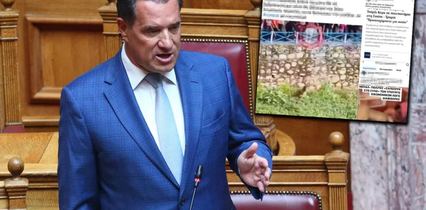 Τι έγραφε ο 52χρονος που απείλησε τον Άδωνι Γεωργιάδη