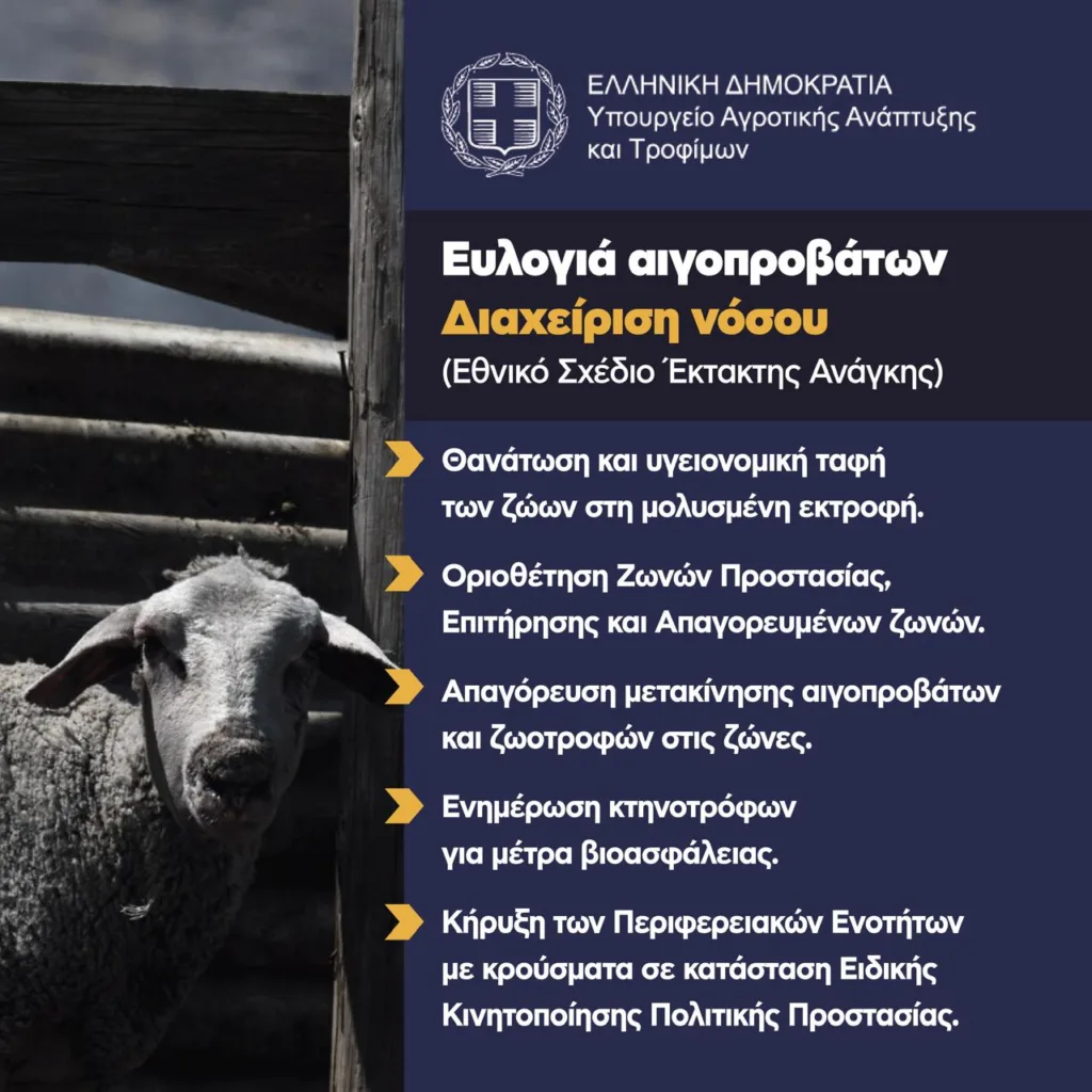 Ευλογιά των προβάτων: Τα μέτρα για τον περιορισμό και εκρίζωση της νόσου, τι πρέπει να κάνουν οι κτηνοτρόφοι