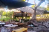 Πάτρα: Φορτηγό «σίφουνας» έκαψε καλώδιο ρεύματος, έσπασε κλαδιά δένδρων ΦΩΤΟ
