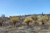 Καμενίτσα Αλισσού: Στέρεψαν οι βρύσες και η... υπομονή τους - Πάνω από 10.000 ευρώ οι ζημιές εκτιμά ο πρόεδρος της ΔΕΥΑΔ
