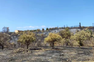 Καμενίτσα Αλισσού: Στέρεψαν οι βρύσες και η… υπομονή τους – Πάνω από 10.000 ευρώ οι ζημιές εκτιμά ο πρόεδρος της ΔΕΥΑΔ