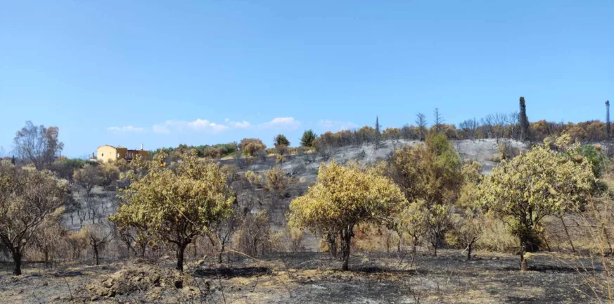Καμενίτσα Αλισσού: Στέρεψαν οι βρύσες και η... υπομονή τους - Πάνω από 10.000 ευρώ οι ζημιές εκτιμά ο πρόεδρος της ΔΕΥΑΔ