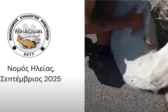 Φρίκη στην Ηλεία: Πέταξαν ζωντανή ακρωτηριασμένη κατσίκα στο φράγμα του Αλφειού - Σοκαριστικό ΒΙΝΤΕΟ