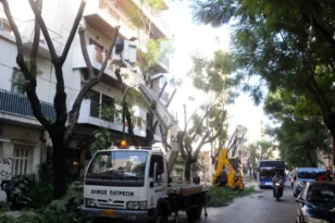 Πάτρα: Αρχίζει το κλάδεμα δένδρων στην Κωνσταντινουπόλεως