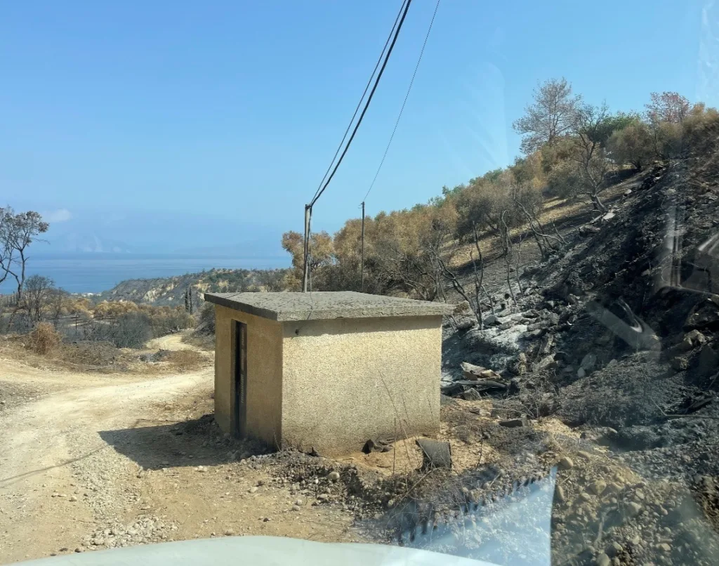 Κλάδης στο Δημοτικό Συμβούλιο: «Με αυτοθυσία οι εργαζόμενοι της ΔΕΥΑΠ στις πυρκαγιές – Οι ευθύνες ανήκουν αλλού» Κλάδης στο Δημοτικό Συμβούλιο: «Με αυτοθυσία οι εργαζόμενοι της ΔΕΥΑΠ στις πυρκαγιές – Οι ευθύνες ανήκουν αλλού»