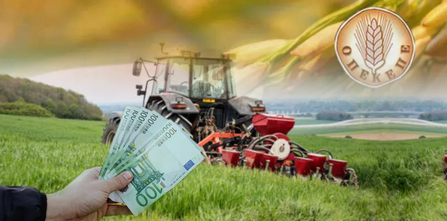 Τι υποστηρίζει η μητέρα του «εγκεφάλου» για παράνομες επιδοτήσεις του ΟΠΕΚΕΠΕ Τι υποστηρίζει η μητέρα του «εγκεφάλου» για παράνομες επιδοτήσεις του ΟΠΕΚΕΠΕ