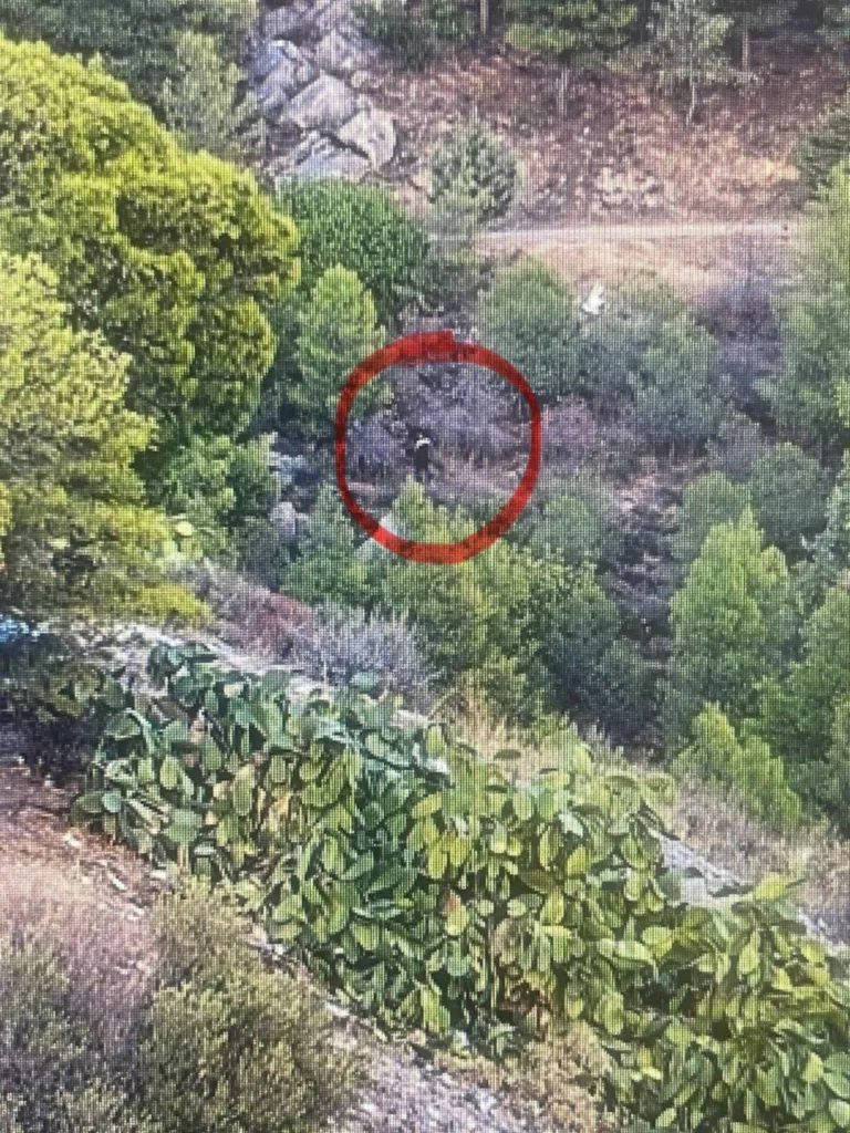 Αυτός είναι ο Παλαιστίνιος που συνελήφθη για τη φωτιά στον Υμηττό ΦΩΤΟ