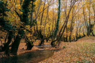 Φθινόπωρο στην Πελοπόννησο: Οι πιο γοητευτικοί προορισμοί για weekend getaways