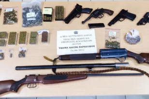 Πύργος: Συλλήψεις για μίνι «χασιφοφυτεία» και όπλα ΦΩΤΟ