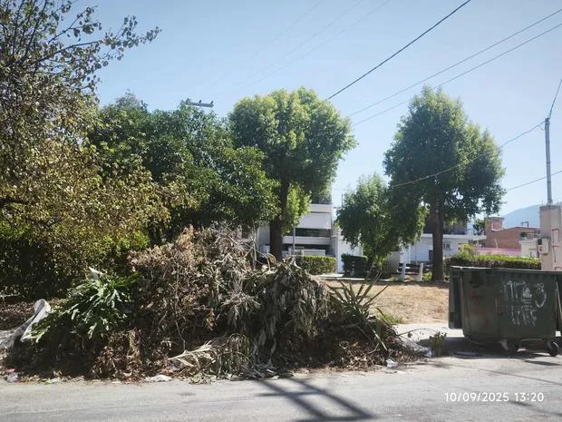 «Χωματερή» δίπλα στα σπίτια: Αδιάκοπο «πάρτι» τρωκτικών διαταράσσει τη δημόσια υγεία