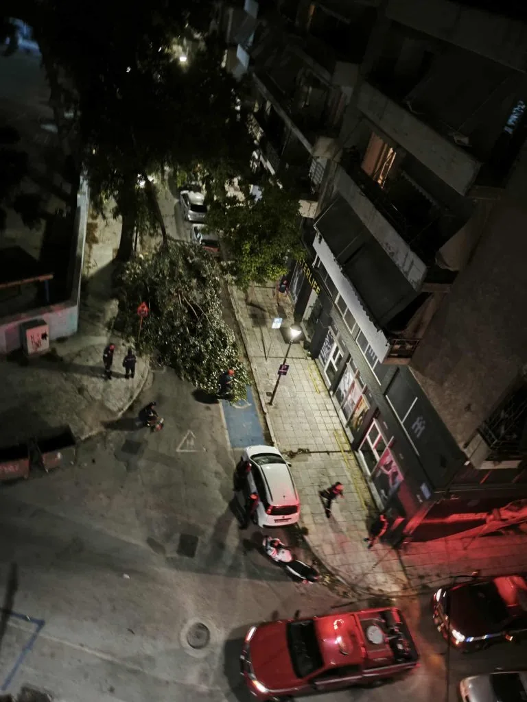 Βόλος στον… αέρα: Πτώσεις δέντρων, ζημιές σε οχήματα και διακοπές ρεύματος