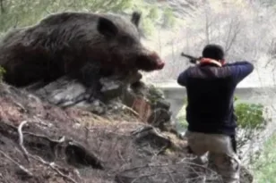 Θλίψη και στον Πύργο για το θάνατο του 57χρονου κυνηγού στη Γορτυνία…