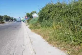 Η …ζούγκλα στην Ακτη Δυμαίων