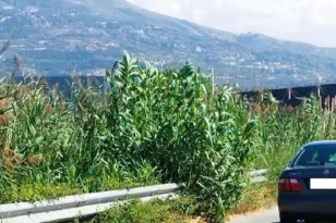 Περιφέρεια Δυτικής Ελλάδας: Εντολή για καθαρισμούς, ζητά 20 εκ. ευρώ για αντιπλημμυρικά