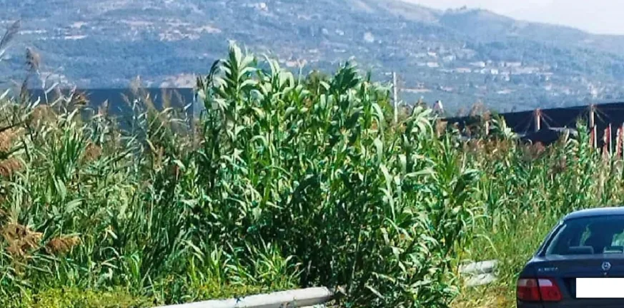 Περιφέρεια Δυτικής Ελλάδας: Εντολή για καθαρισμούς, ζητά 20 εκ. ευρώ για αντιπλημμυρικά